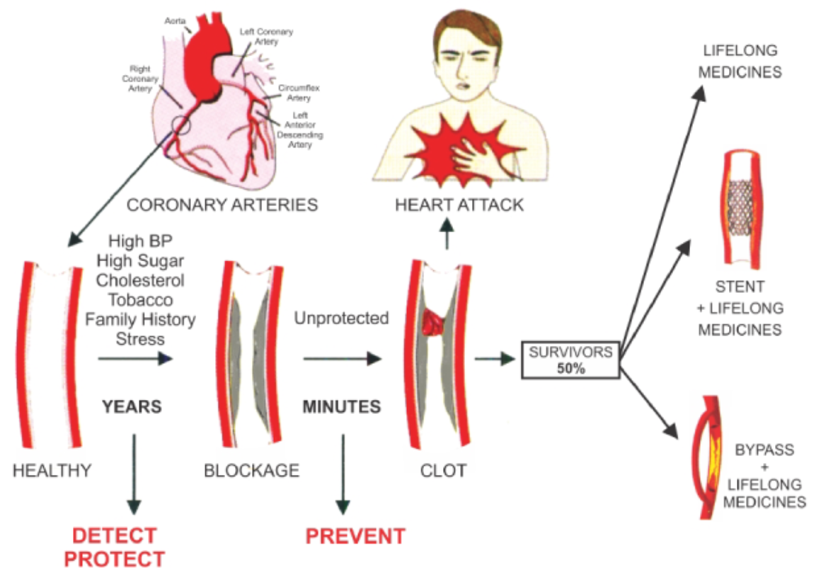 Preventive Cardiology
